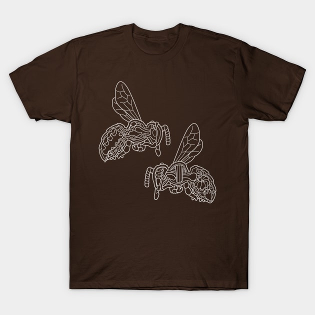 White Line Drawing of Honey Bee Anatomy Illustration T-Shirt by taylorcustom